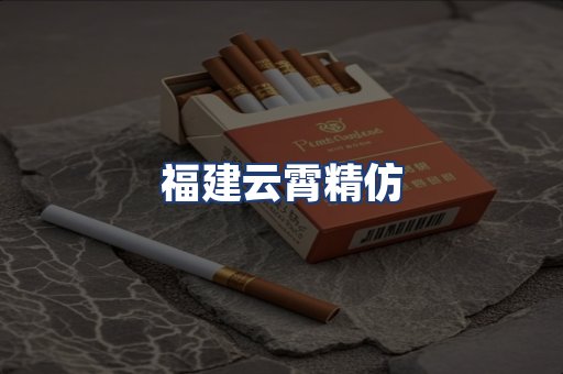 福建云霄精仿